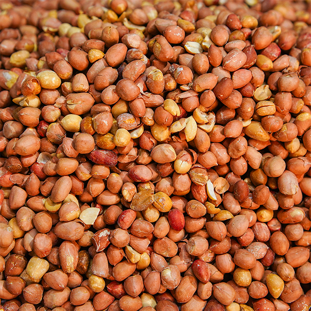 Kappalandi - Salted